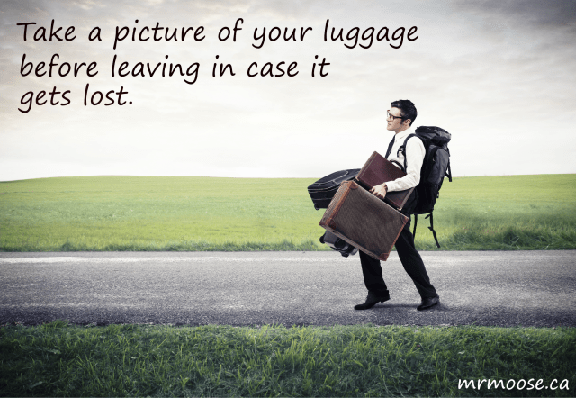 Take a picture of your luggage before leaving in case it get's lost. mrmoose.ca.png