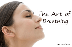 The Art of Breathing.png